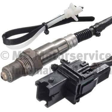 Oxygen Sensor