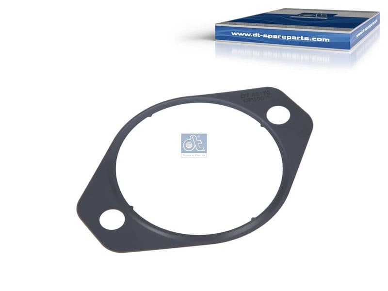 Gasket, coolant flange