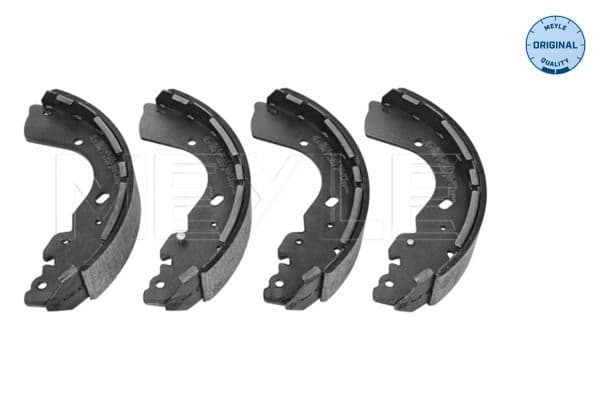Brake shoe set