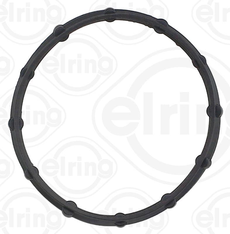 Gasket, crankcase ventilation
