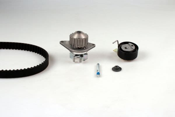 Water Pump & Timing Belt Kit