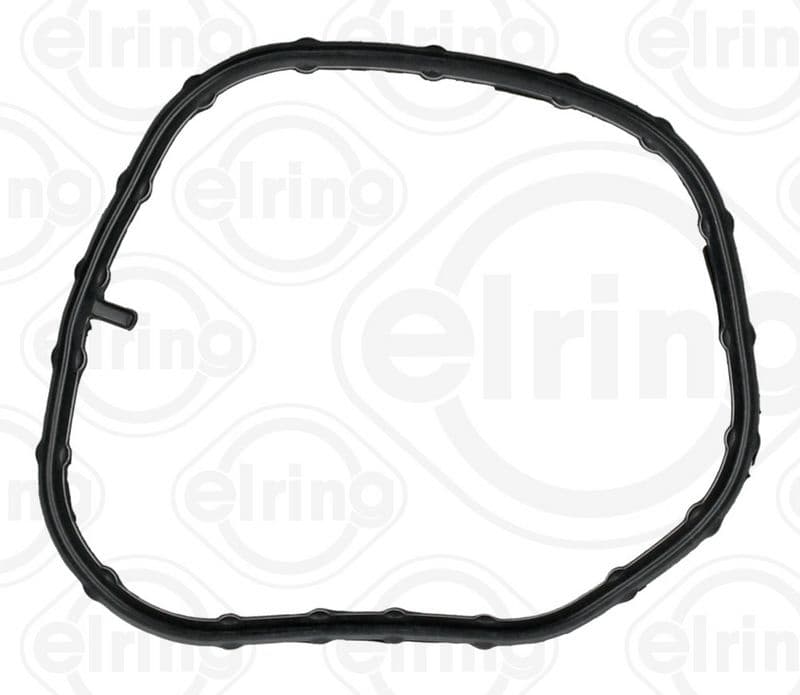 Gasket, thermostat housing