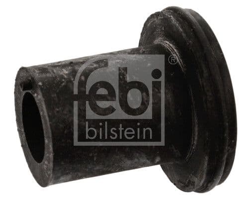 Bushing, leaf spring