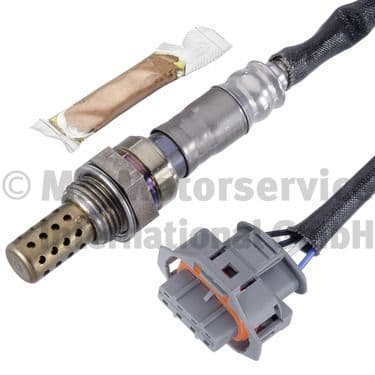 Oxygen Sensor