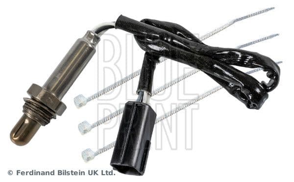 Oxygen Sensor