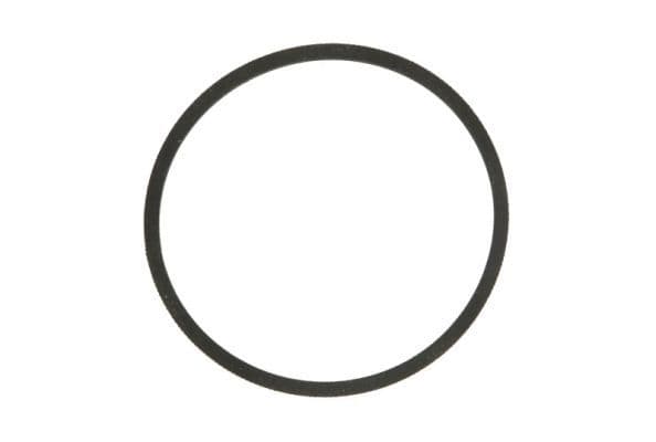 Brandstofpomp pakking/afdichting past: CASE IH 1046, 1055, 1246, 248, 258, 268, 276, 278, 2276, 2300, 2350, 2500, 354, 384, 385, 433, 444, 454, 485, 533, 574, 584, 585, 633, 644, 674, 684, 685