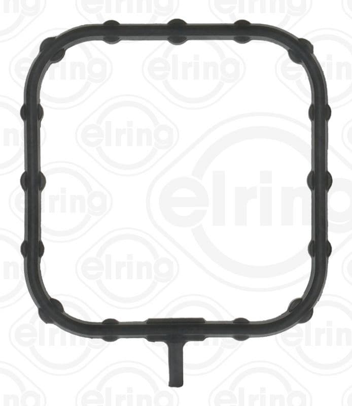 Water pump gasket