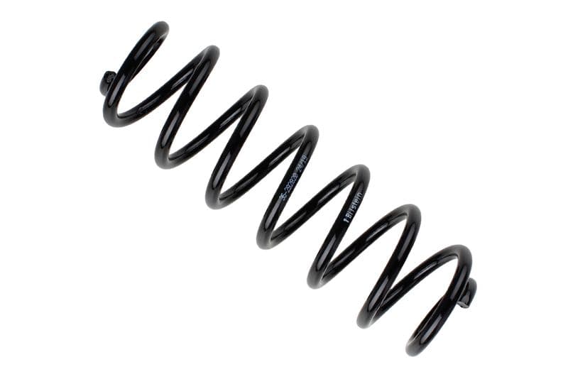 Coil spring