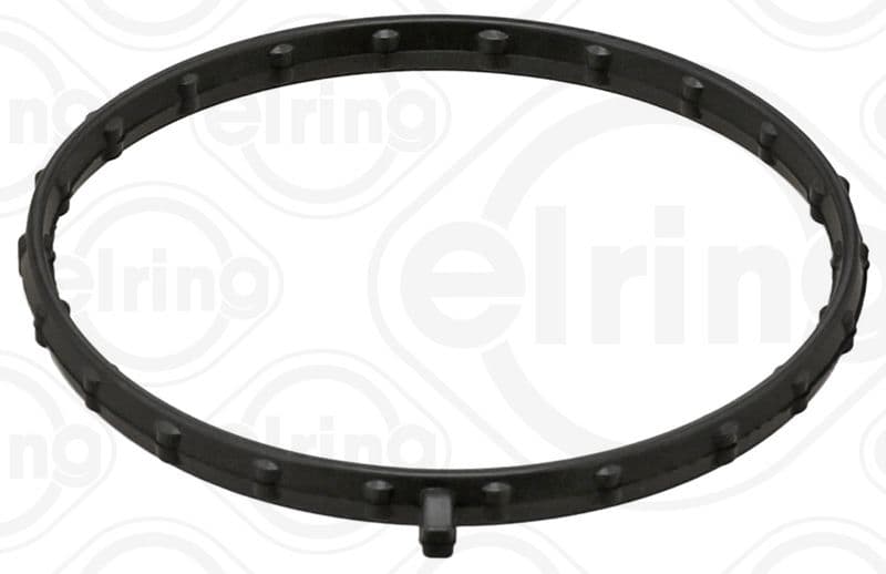 Gasket, timing case cover