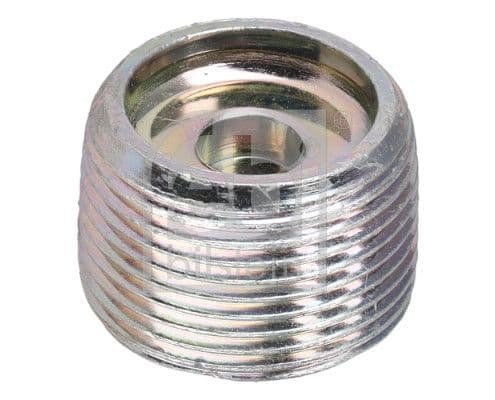 Screw Plug, automatic transmission casing