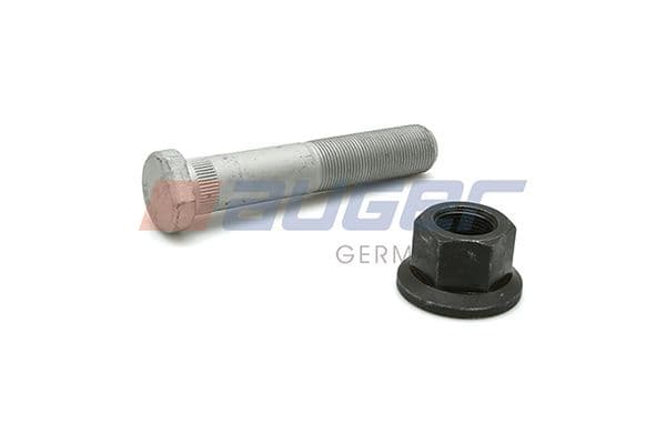 Wheel bolt