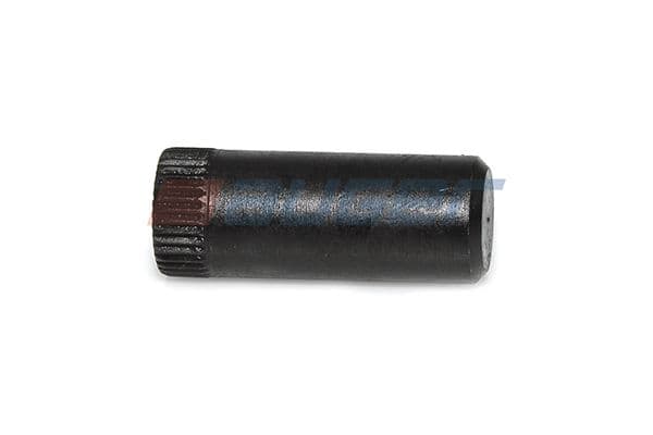 Brake shoe elements past: DAF 75, 75 CF, 85, 85 CF, 95, CF 75, F 2700 09.87-05.13