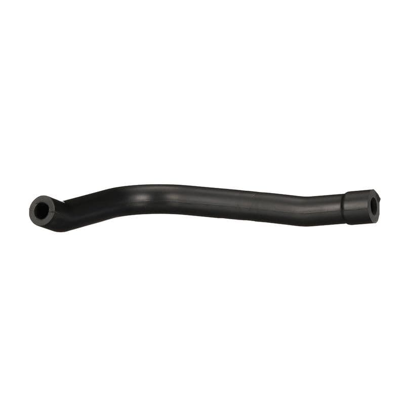 Hose, cylinder head cover ventilation