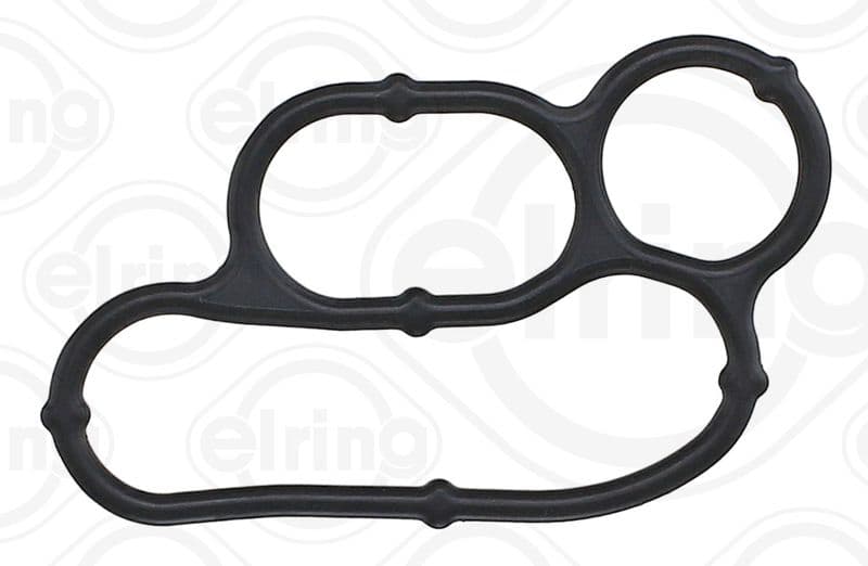 Gasket, timing case cover