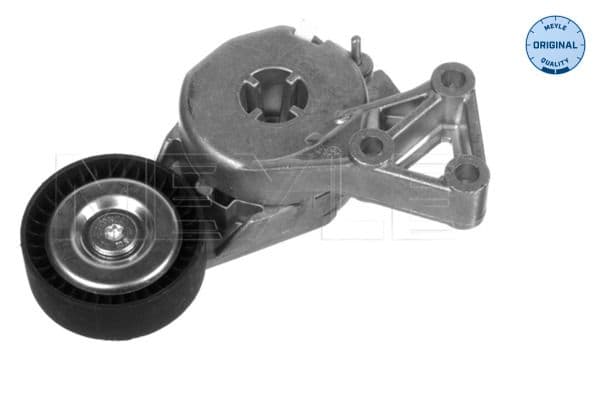 Tensioner Lever, V-ribbed belt