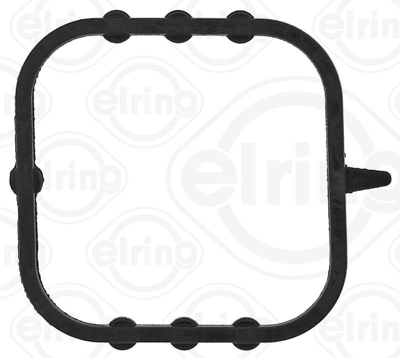Water pump gasket
