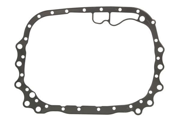 Versnellingsbak pakking past: FORD 500