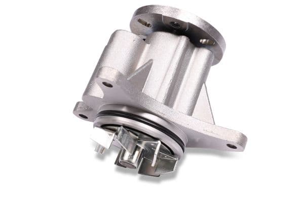 Waterpomp, met pakking past: CITROEN C5 III, C6  PEUGEOT 407, 607 2.7D 12.04-