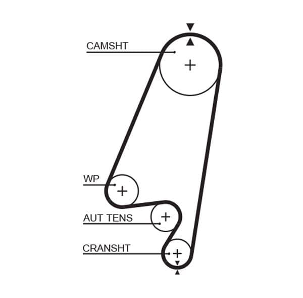 Timing belt