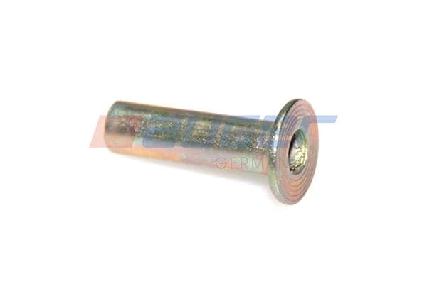 Rivet, drum brake lining