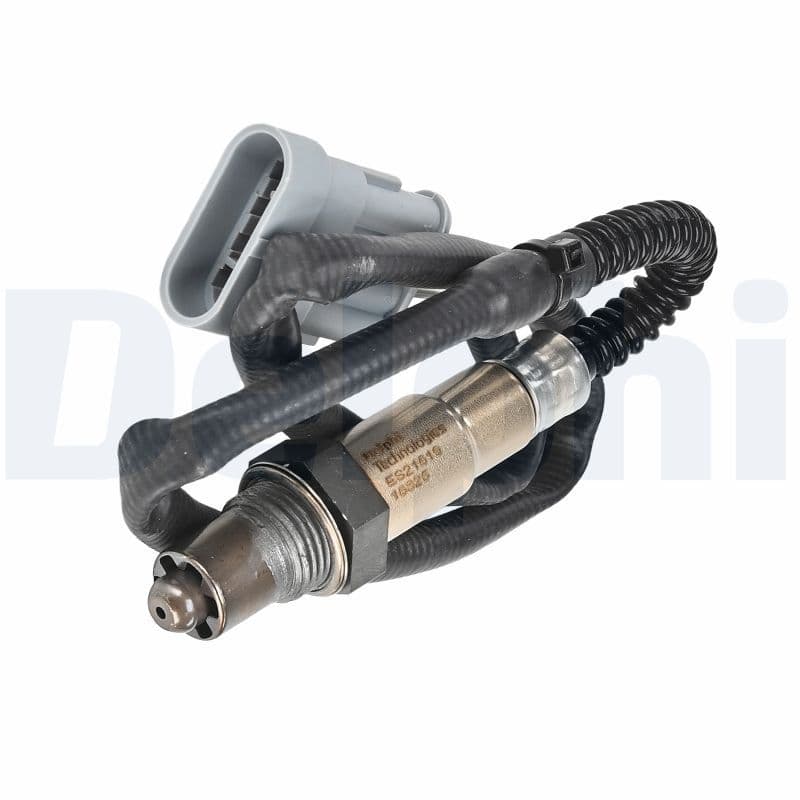 Oxygen Sensor