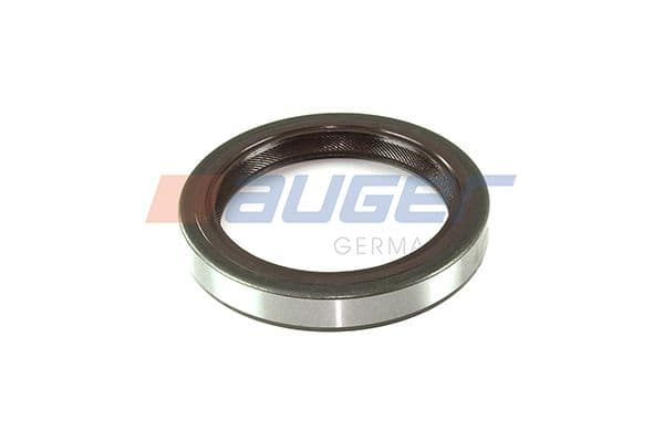 Shaft Seal, differential
