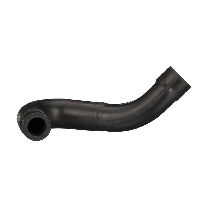 Hose, cylinder head cover ventilation