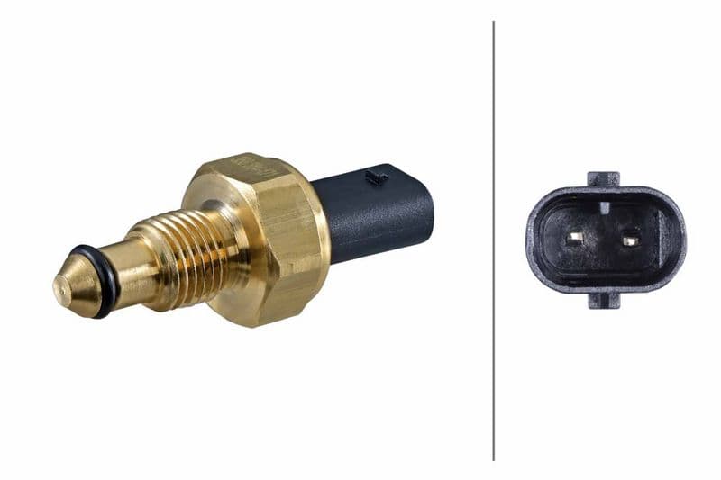 Sensor, fuel temperature