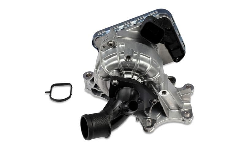 Waterpomp, met pakking past: RENAULT AUSTRAL, ESPACE VI, RAFALE 1.2H 10.22-