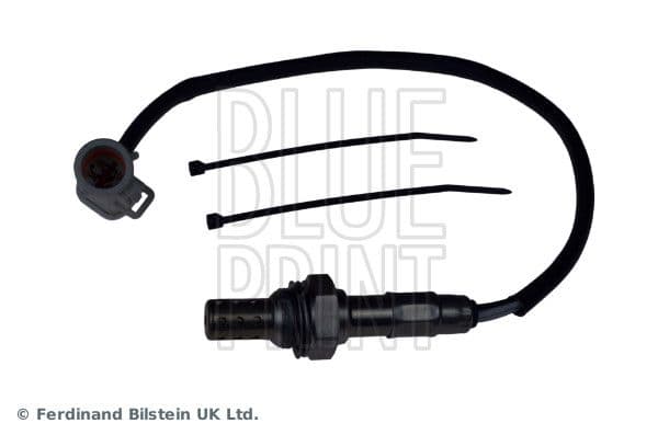 Oxygen Sensor