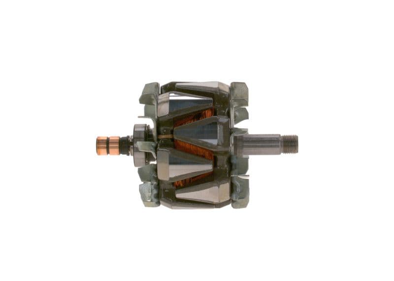 Alternator rotor