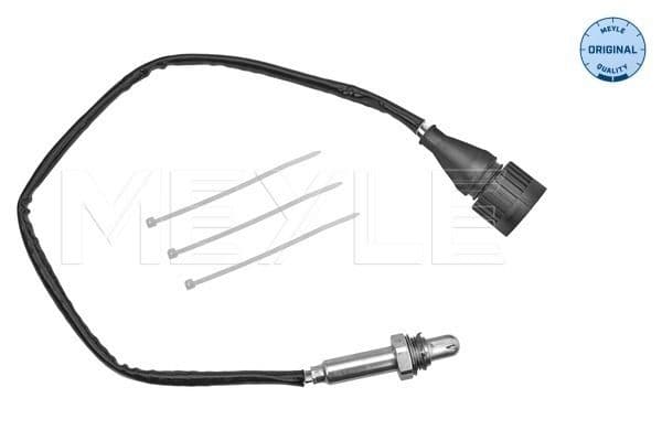 Oxygen Sensor
