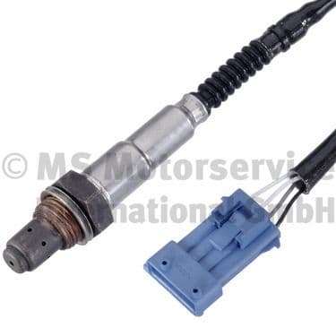 Oxygen Sensor