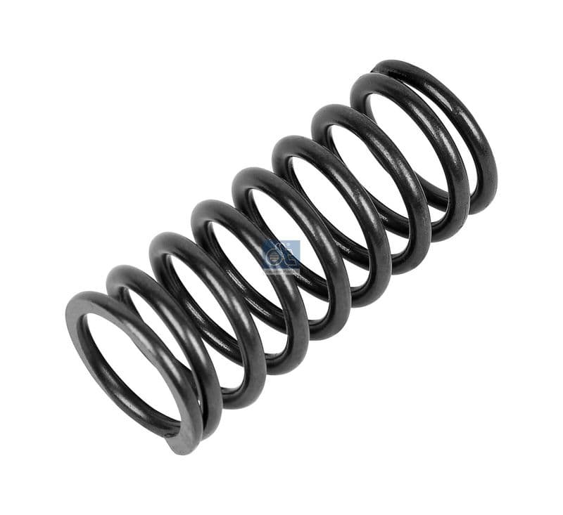 Valve spring