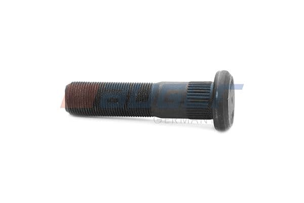 Wheel bolt