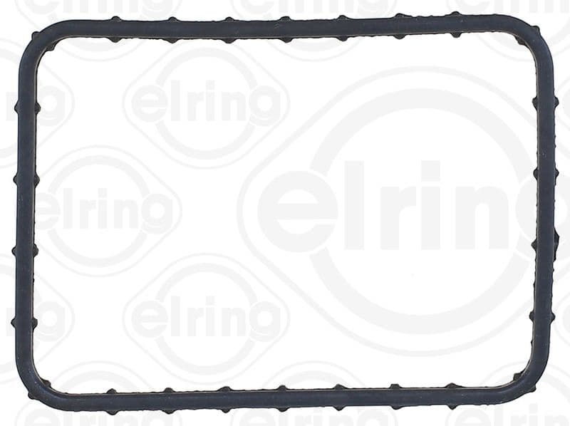 Gasket, thermostat housing