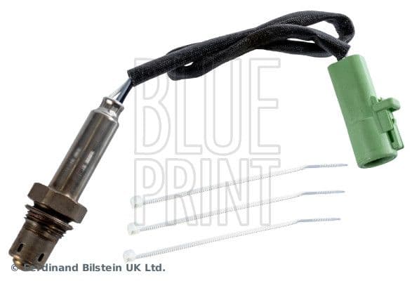 Oxygen Sensor