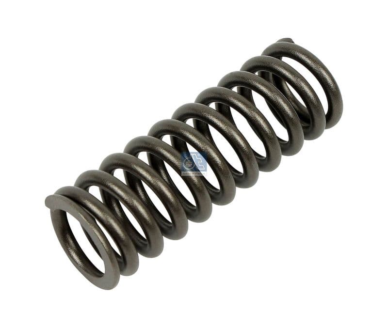 Valve spring
