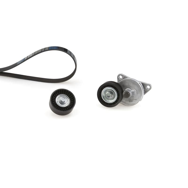 Multi-V-riem (6PK1555)