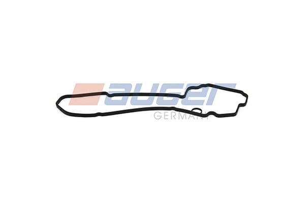 Gasket, timing case