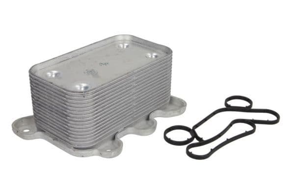 Olie radiator past: MERCEDES E (W211), G (W463), M (W163), S (W220, V220) 4.0D 06.00-12.08