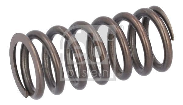 Valve spring