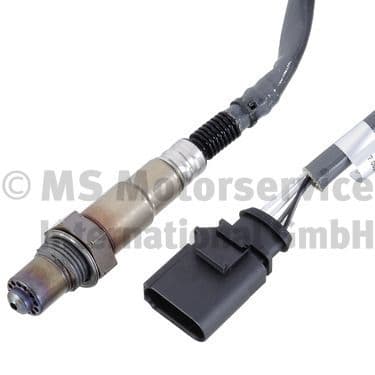 Oxygen Sensor