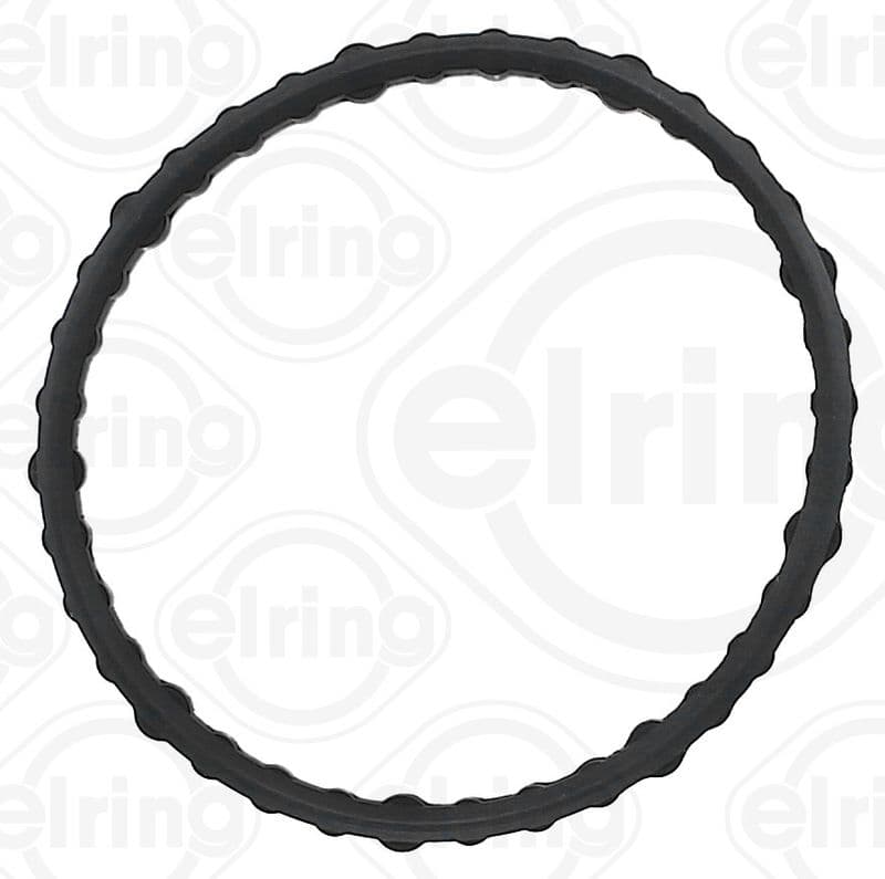 Gasket, thermostat housing