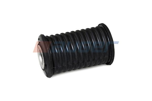 Bushing, leaf spring