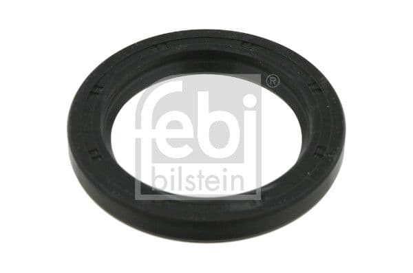 Seal Ring, steering knuckle