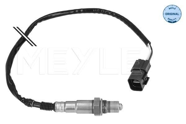 Oxygen Sensor