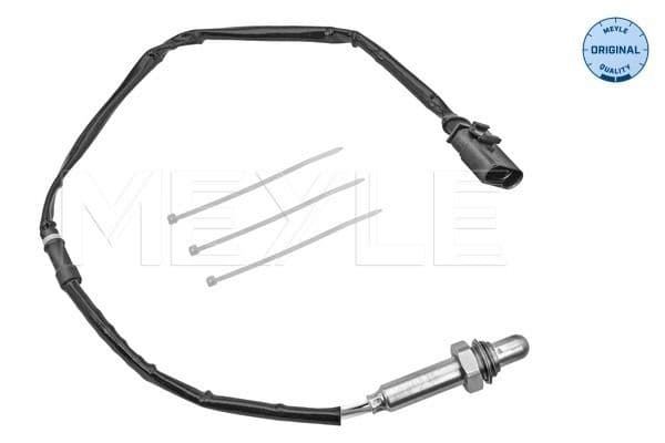 Oxygen Sensor
