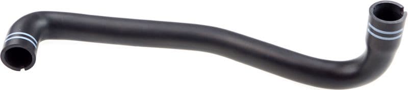 Hose, crankcase ventilation