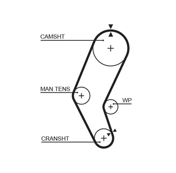 Timing belt